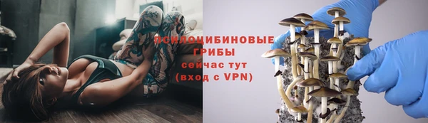 мяу мяу кристалл Арсеньев