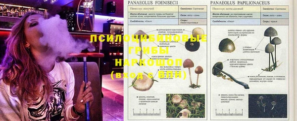 винт Армянск