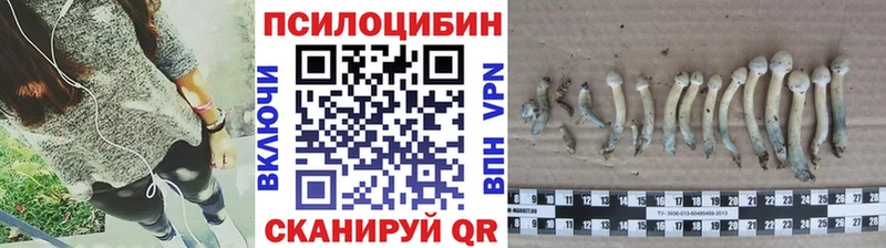 Галлюциногенные грибы Cubensis  Дедовск 