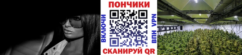 Каннабис план Дедовск